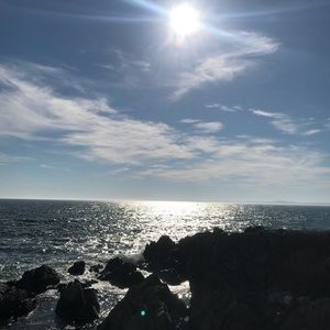 Meet your Posher, Brady